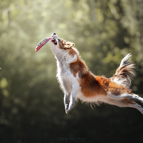 CRAZY FLYING RING FRISBEE Vintage 70's Soft  Frisbee - Picture 2 of 4